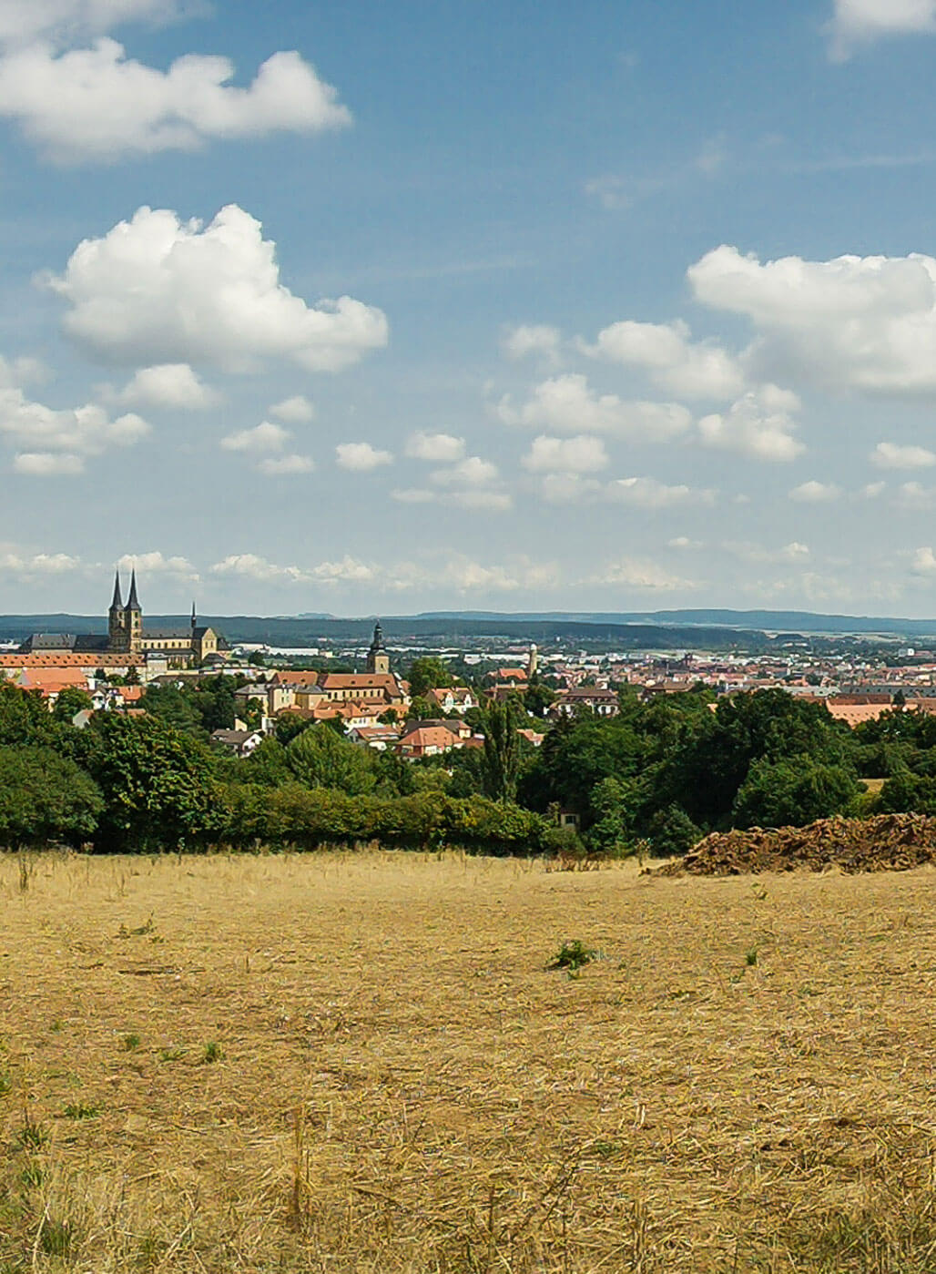 Blick auf Bamberg