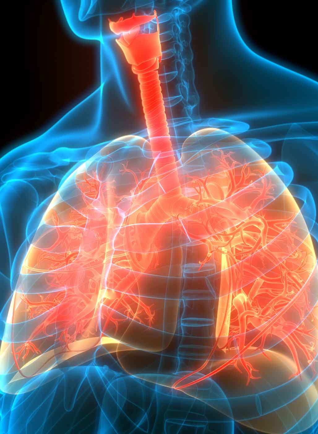 lungen-imagebild