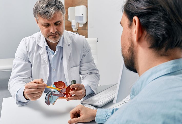 Arzt erklärt Mann an einem Modell Prostata